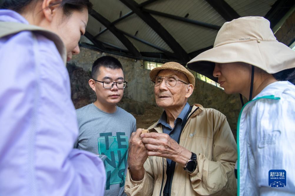 真人直营投注